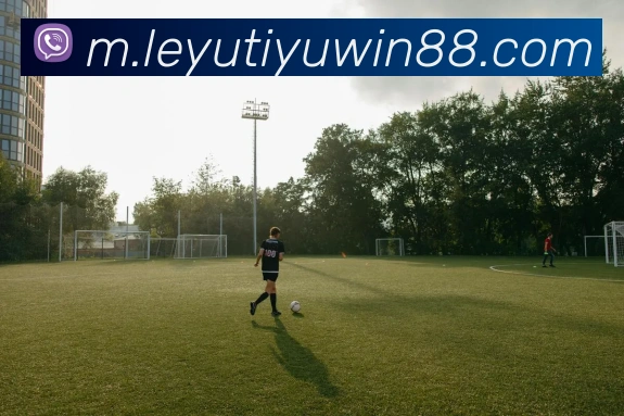 App Interface Preview